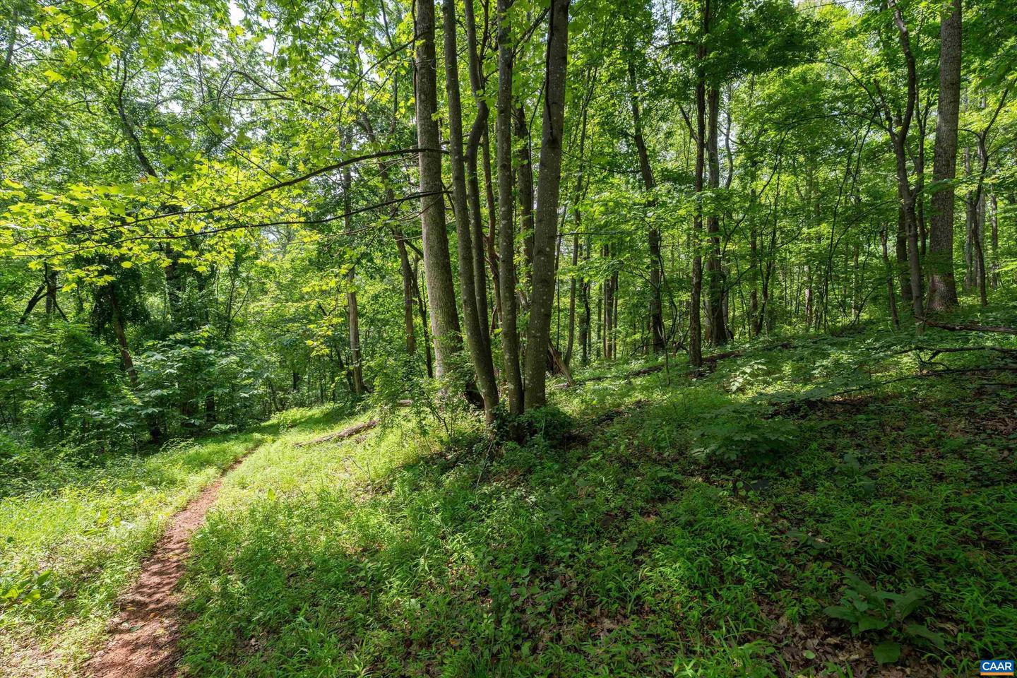 HYLAND RIDGE DR #R2, CHARLOTTESVILLE, Virginia 22901, ,Land,For sale,HYLAND RIDGE DR #R2,665843 MLS # 665843