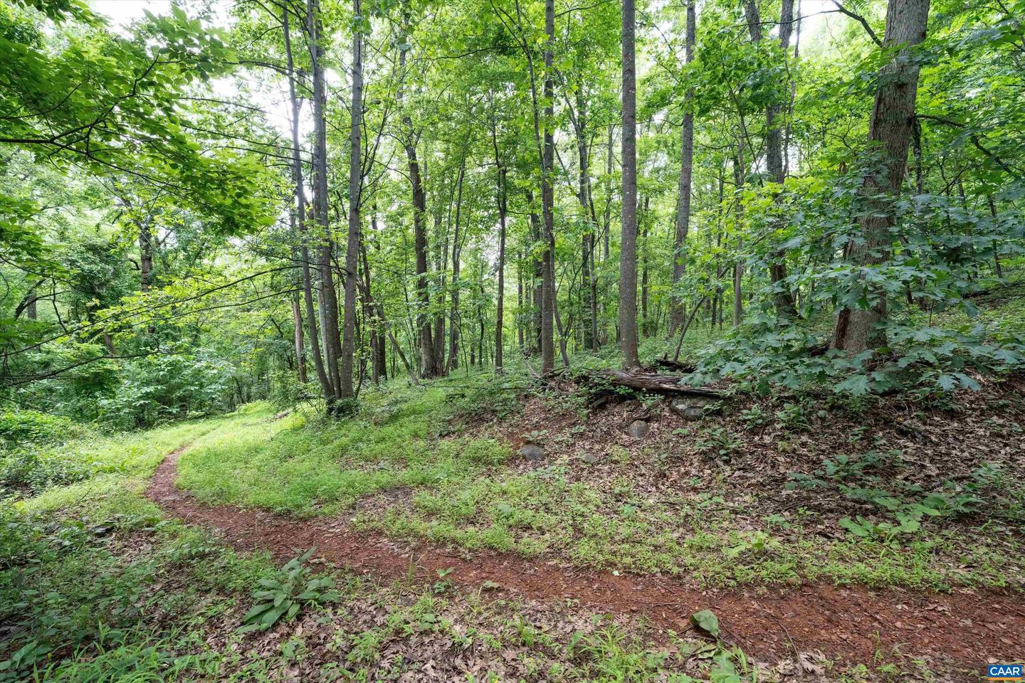 HYLAND RIDGE DR #R2, CHARLOTTESVILLE, Virginia 22901, ,Land,For sale,HYLAND RIDGE DR #R2,665843 MLS # 665843