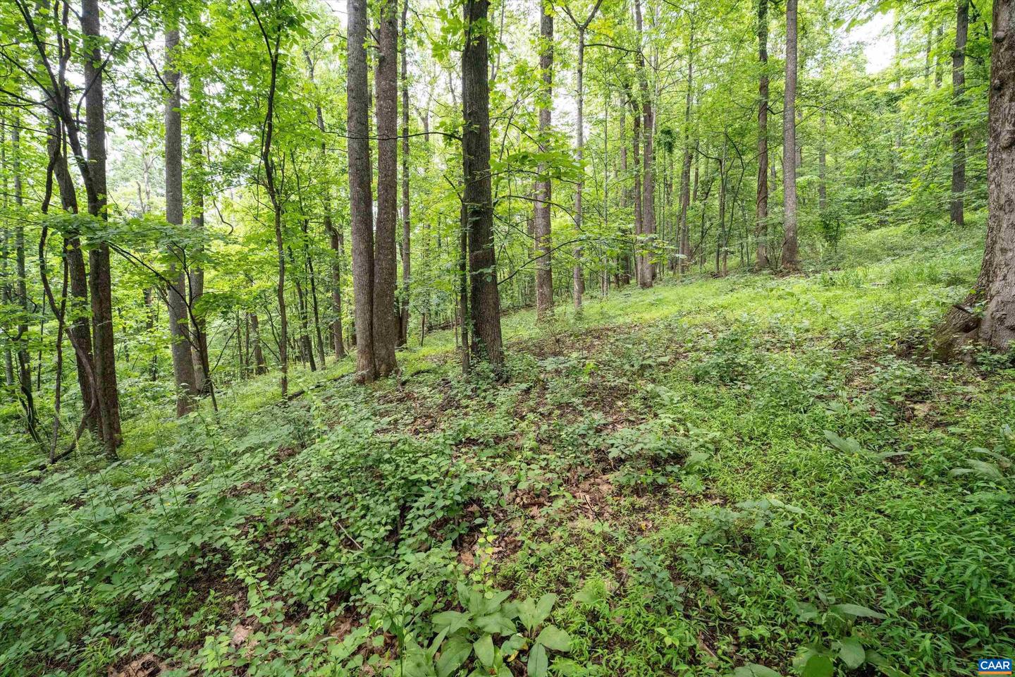 HYLAND RIDGE DR #R2, CHARLOTTESVILLE, Virginia 22901, ,Land,For sale,HYLAND RIDGE DR #R2,665843 MLS # 665843