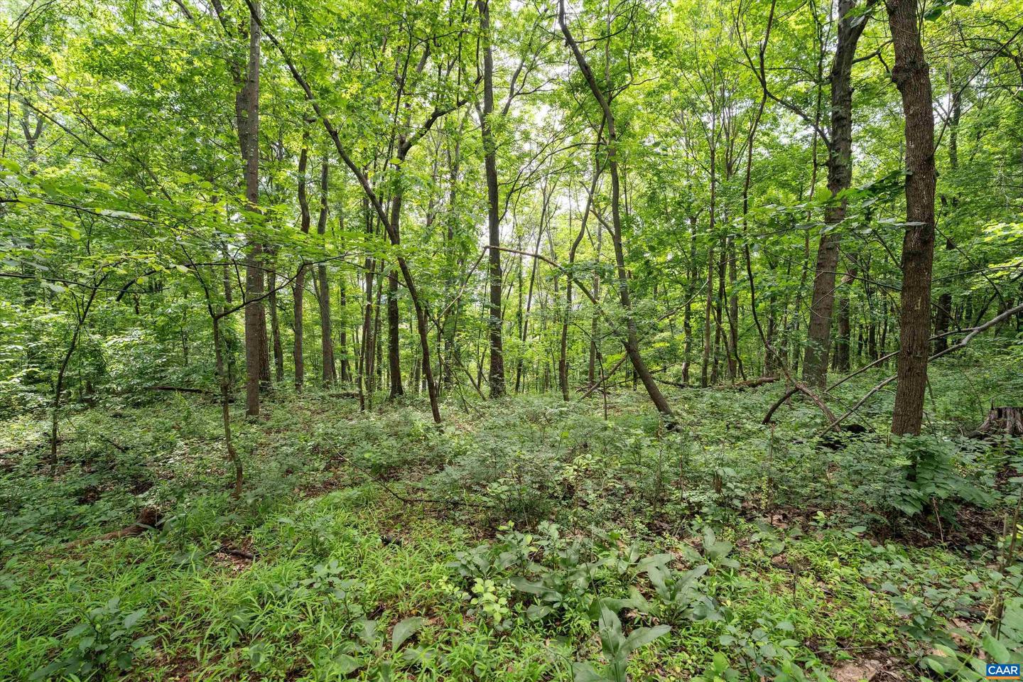 HYLAND RIDGE DR #R2, CHARLOTTESVILLE, Virginia 22901, ,Land,For sale,HYLAND RIDGE DR #R2,665843 MLS # 665843