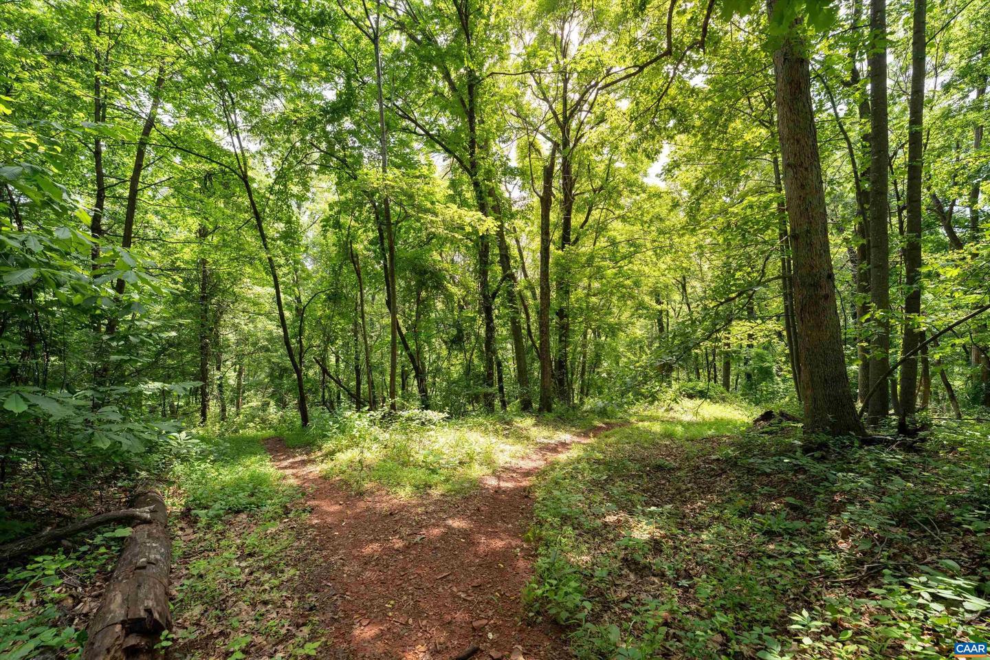 HYLAND RIDGE DR #R2, CHARLOTTESVILLE, Virginia 22901, ,Land,For sale,HYLAND RIDGE DR #R2,665843 MLS # 665843