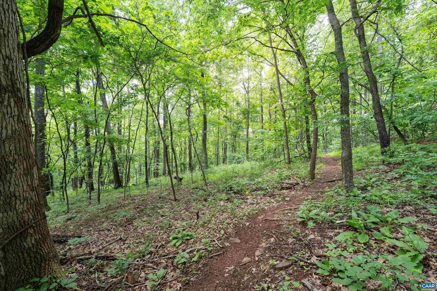 HYLAND RIDGE DR #R2, CHARLOTTESVILLE, Virginia 22901, ,Land,For sale,HYLAND RIDGE DR #R2,665843 MLS # 665843