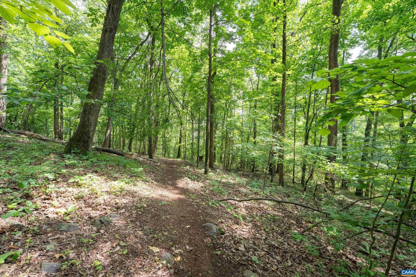 HYLAND RIDGE DR #R2, CHARLOTTESVILLE, Virginia 22901, ,Land,For sale,HYLAND RIDGE DR #R2,665843 MLS # 665843