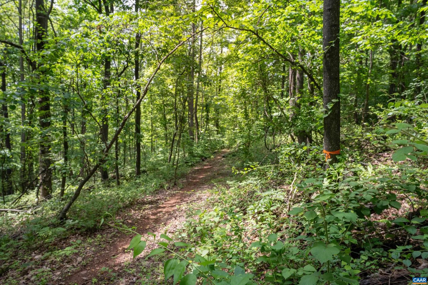 HYLAND RIDGE DR #R2, CHARLOTTESVILLE, Virginia 22901, ,Land,For sale,HYLAND RIDGE DR #R2,665843 MLS # 665843