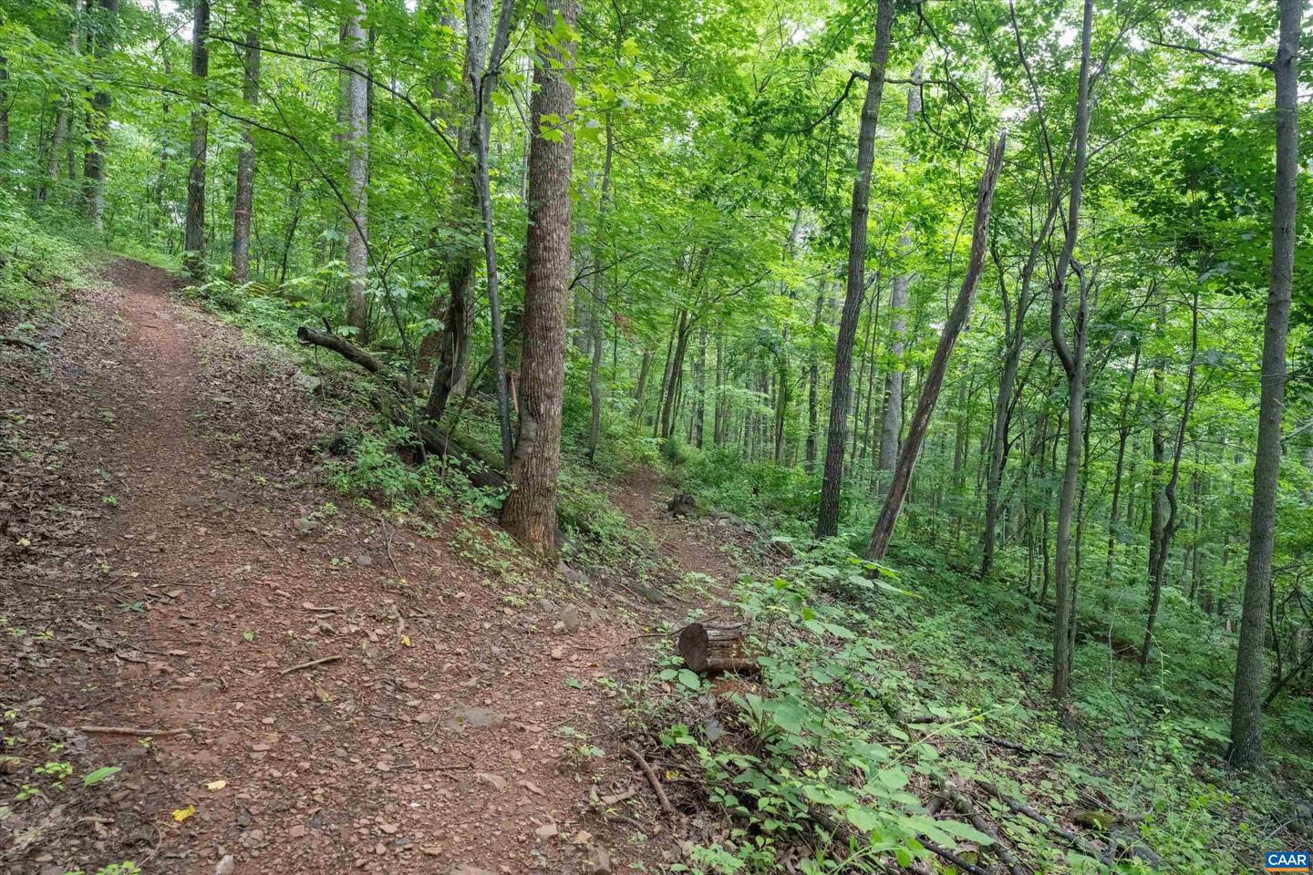 HYLAND RIDGE DR #R2, CHARLOTTESVILLE, Virginia 22901, ,Land,For sale,HYLAND RIDGE DR #R2,665843 MLS # 665843