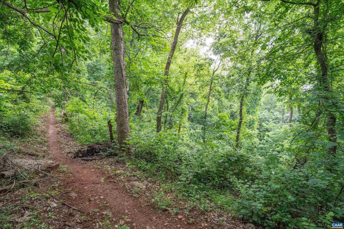 HYLAND RIDGE DR #R2, CHARLOTTESVILLE, Virginia 22901, ,Land,For sale,HYLAND RIDGE DR #R2,665843 MLS # 665843