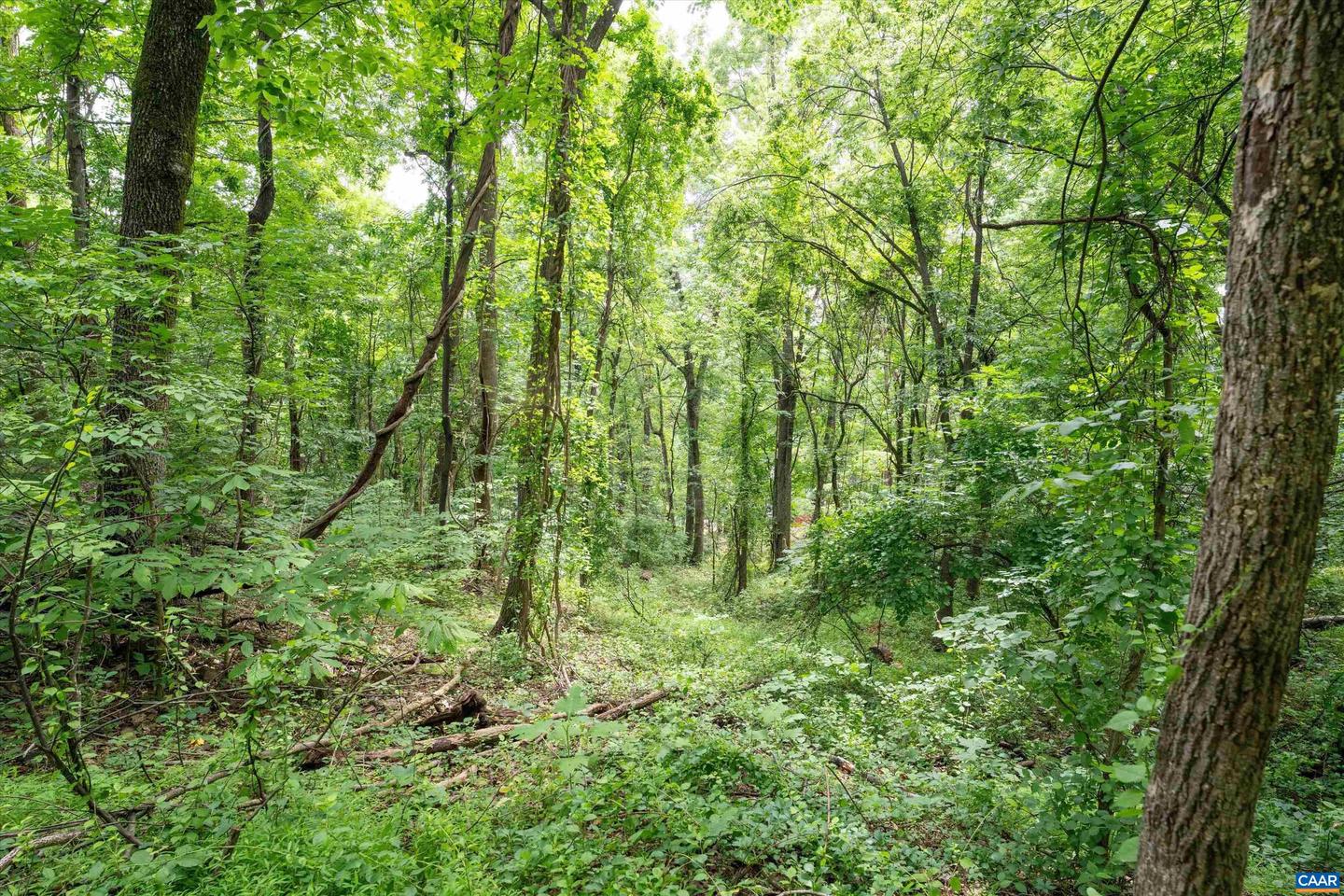 HYLAND RIDGE DR #R2, CHARLOTTESVILLE, Virginia 22901, ,Land,For sale,HYLAND RIDGE DR #R2,665843 MLS # 665843