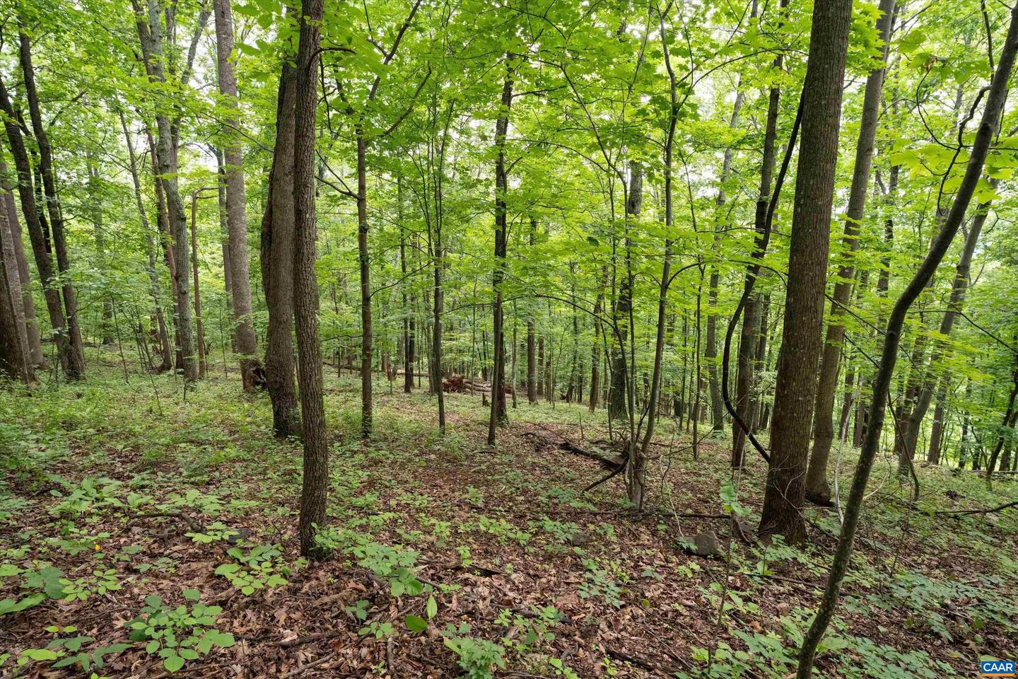 HYLAND RIDGE DR #R2, CHARLOTTESVILLE, Virginia 22901, ,Land,For sale,HYLAND RIDGE DR #R2,665843 MLS # 665843