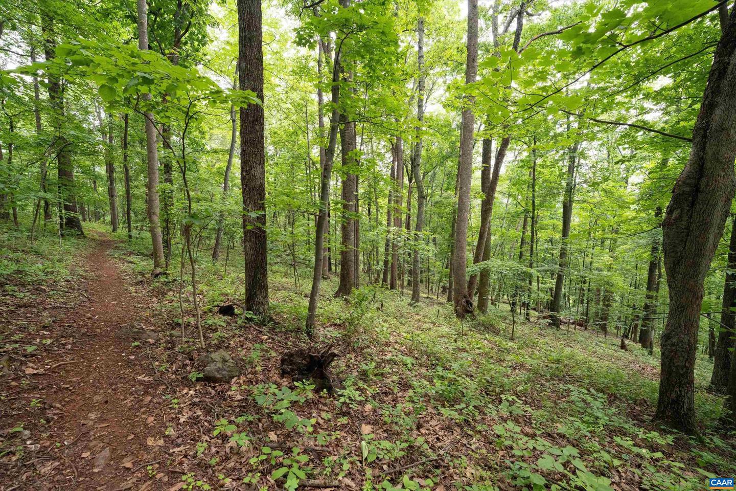 HYLAND RIDGE DR #R2, CHARLOTTESVILLE, Virginia 22901, ,Land,For sale,HYLAND RIDGE DR #R2,665843 MLS # 665843