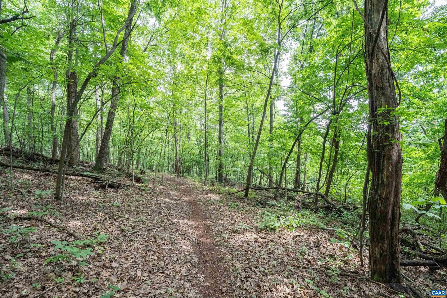 HYLAND RIDGE DR #R2, CHARLOTTESVILLE, Virginia 22901, ,Land,For sale,HYLAND RIDGE DR #R2,665843 MLS # 665843