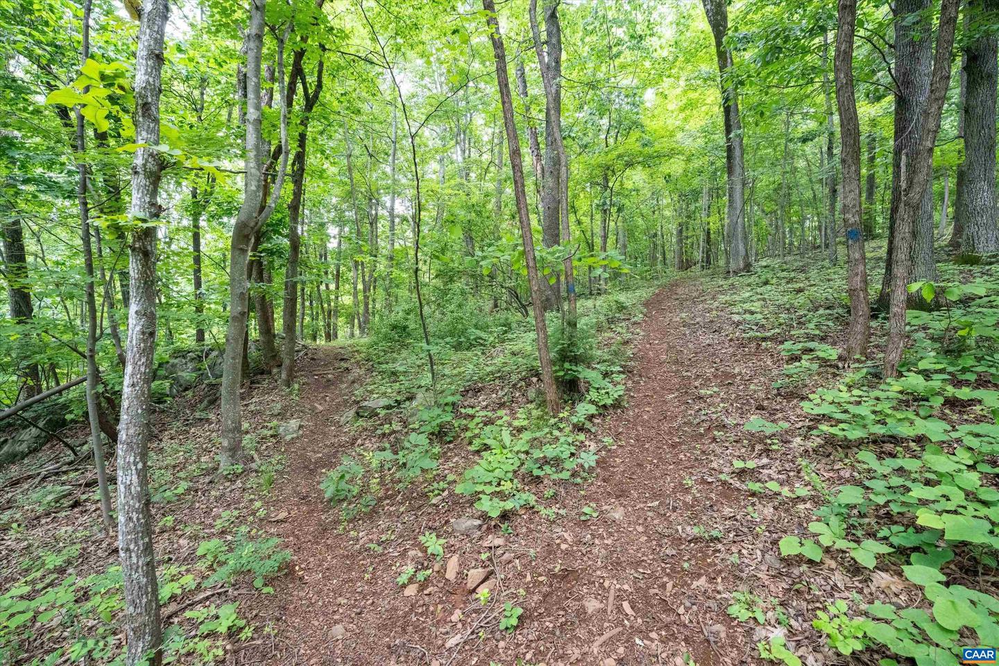 HYLAND RIDGE DR #R2, CHARLOTTESVILLE, Virginia 22901, ,Land,For sale,HYLAND RIDGE DR #R2,665843 MLS # 665843