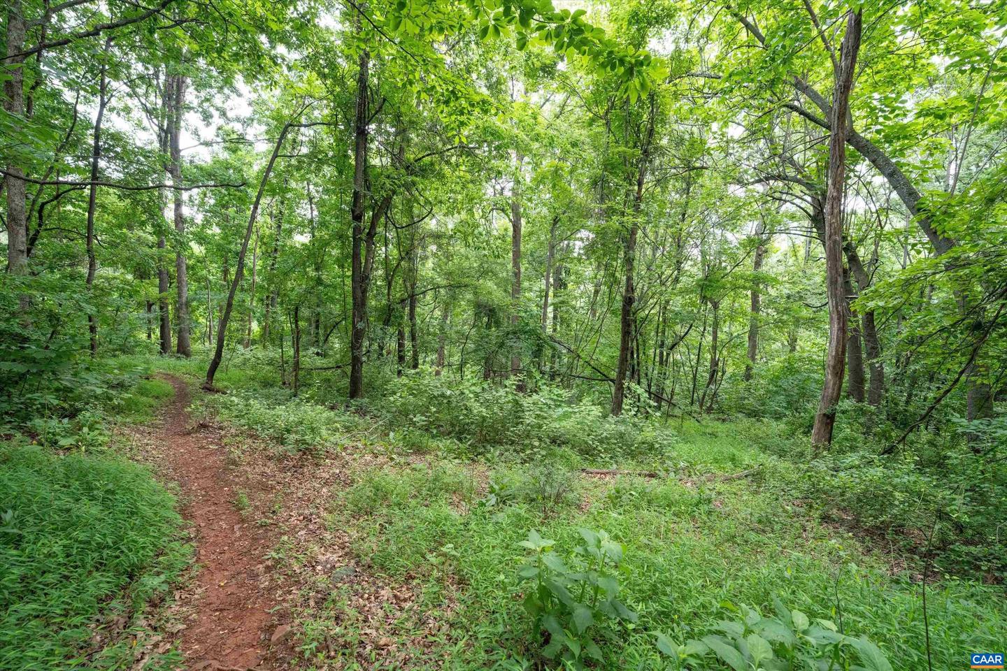 HYLAND RIDGE DR #R2, CHARLOTTESVILLE, Virginia 22901, ,Land,For sale,HYLAND RIDGE DR #R2,665843 MLS # 665843