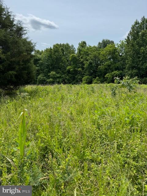 1-1-1 MATHIAS POINT, KING GEORGE, Virginia 22485, ,Land,For sale,1-1-1 MATHIAS POINT,VAKG2006596 MLS # VAKG2006596