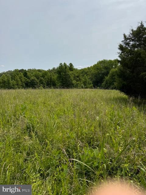 1-1-1 MATHIAS POINT, KING GEORGE, Virginia 22485, ,Land,For sale,1-1-1 MATHIAS POINT,VAKG2006596 MLS # VAKG2006596
