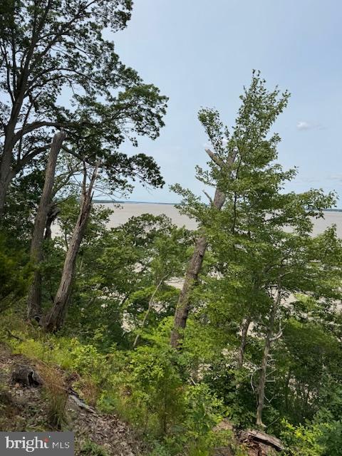 1-1-1 MATHIAS POINT, KING GEORGE, Virginia 22485, ,Land,For sale,1-1-1 MATHIAS POINT,VAKG2006596 MLS # VAKG2006596