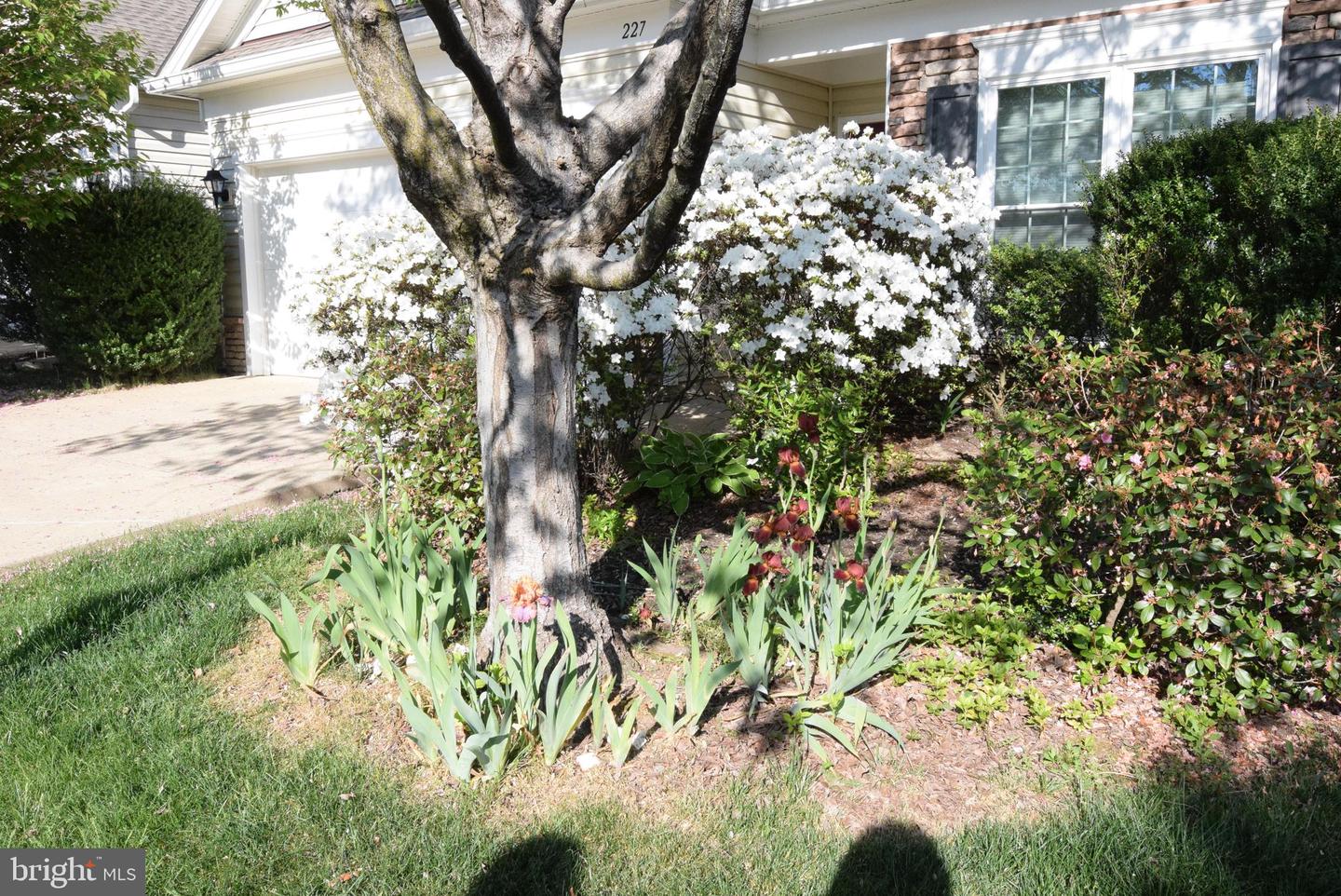 227 SMITHFIELD WAY, FREDERICKSBURG, Virginia 22406, 3 Bedrooms Bedrooms, ,3 BathroomsBathrooms,Residential,For sale,227 SMITHFIELD WAY,VAST2037306 MLS # VAST2037306