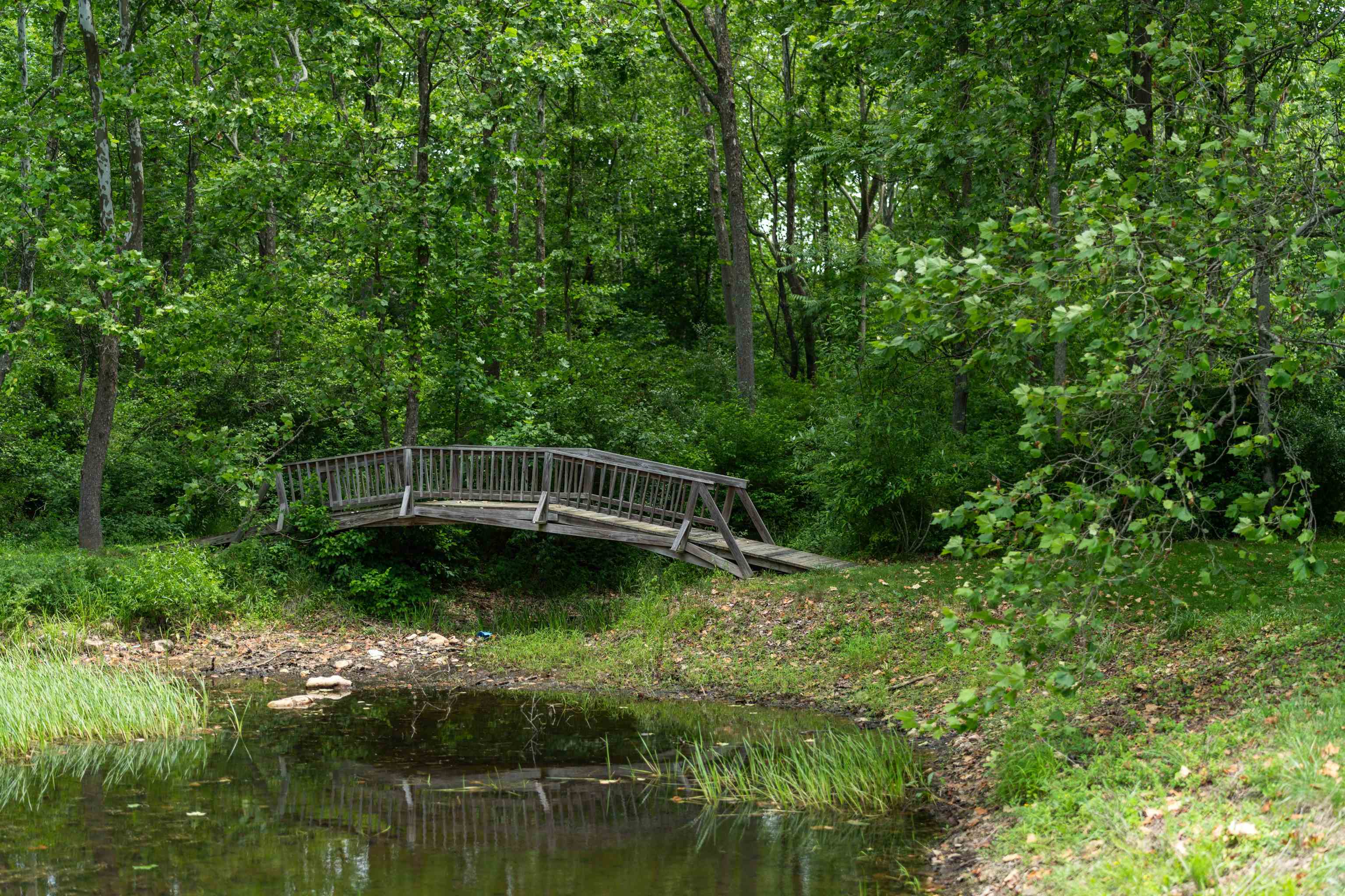 35 S BOTTOM RD, RAPHINE, Virginia 24472, 3 Bedrooms Bedrooms, ,2 BathroomsBathrooms,Residential,Rockbridge Retreat,35 S BOTTOM RD,665844 MLS # 665844
