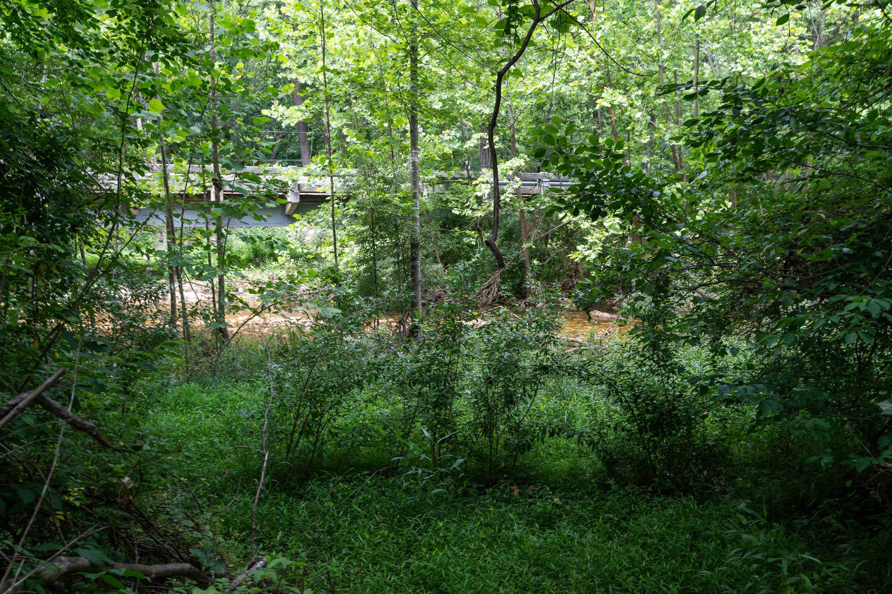35 S BOTTOM RD, RAPHINE, Virginia 24472, 3 Bedrooms Bedrooms, ,2 BathroomsBathrooms,Residential,Rockbridge Retreat,35 S BOTTOM RD,665844 MLS # 665844