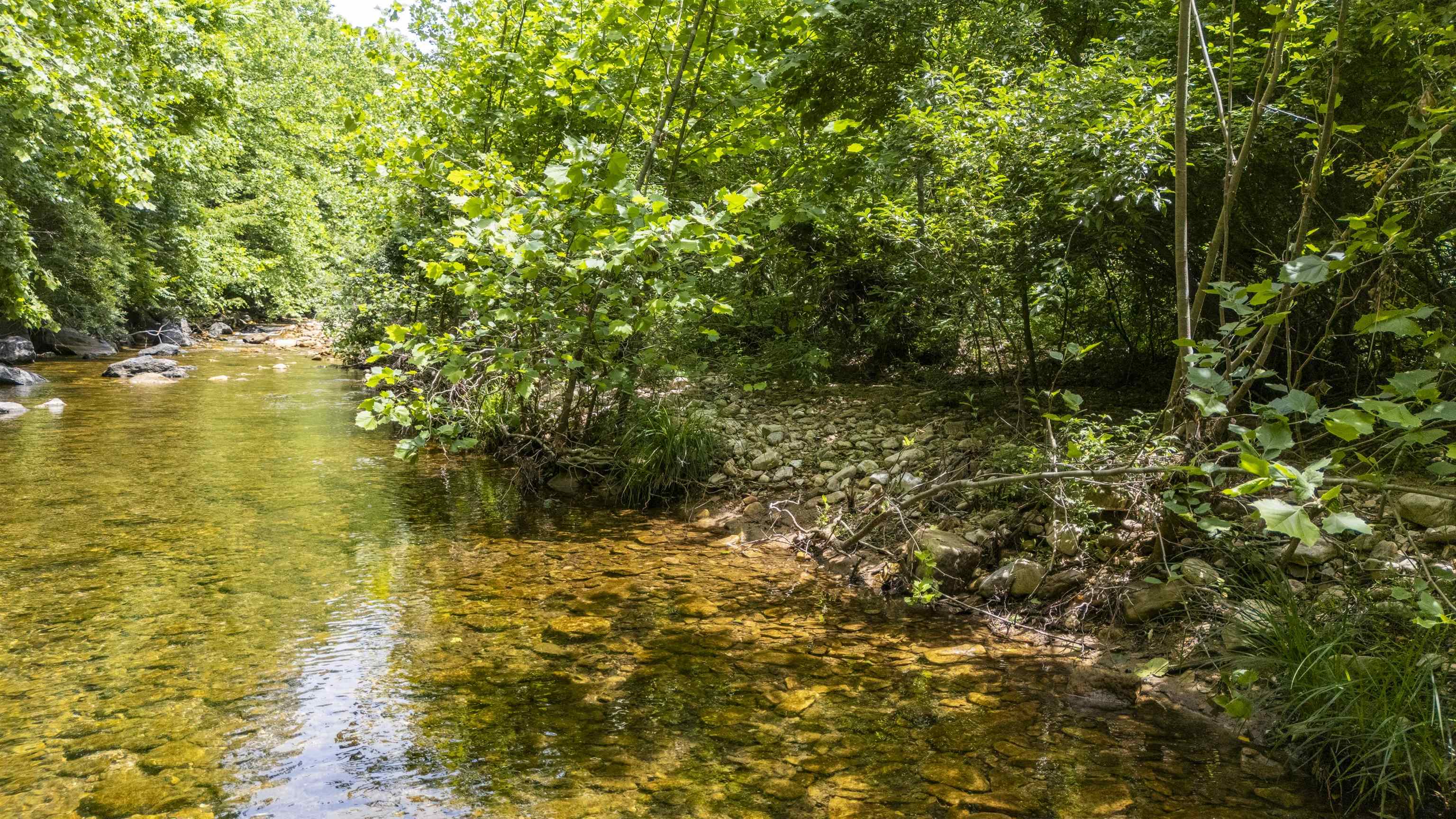 35 S BOTTOM RD, RAPHINE, Virginia 24472, 3 Bedrooms Bedrooms, ,2 BathroomsBathrooms,Residential,Rockbridge Retreat,35 S BOTTOM RD,665844 MLS # 665844