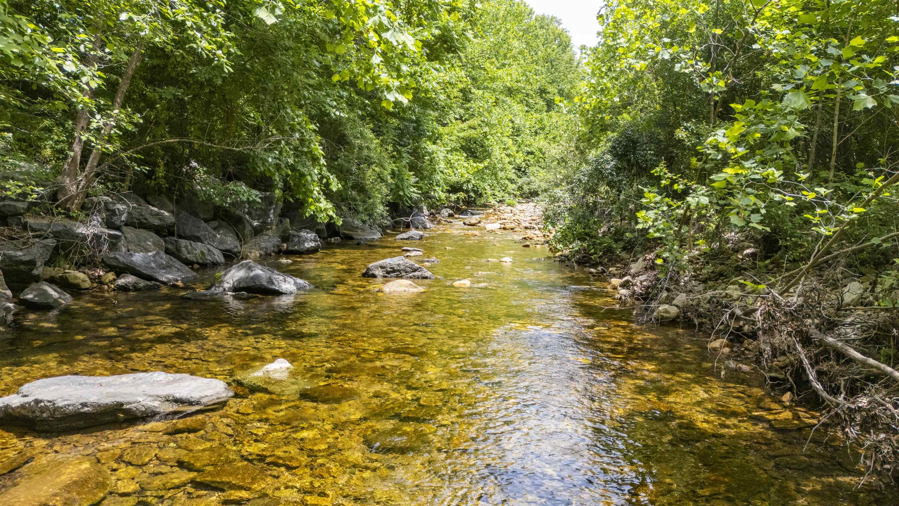 35 S BOTTOM RD, RAPHINE, Virginia 24472, 3 Bedrooms Bedrooms, ,2 BathroomsBathrooms,Residential,Rockbridge Retreat,35 S BOTTOM RD,665844 MLS # 665844