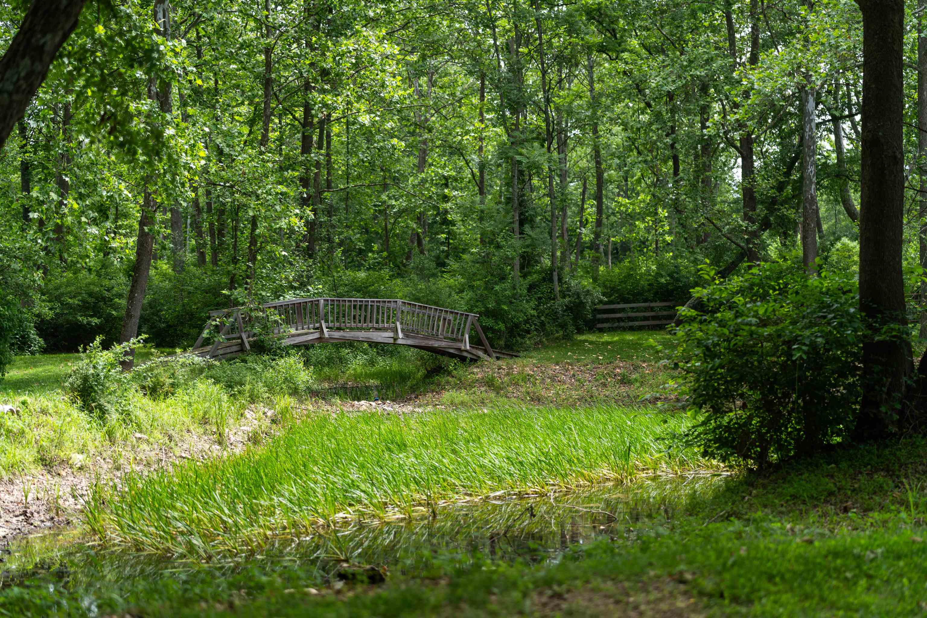 35 S BOTTOM RD, RAPHINE, Virginia 24472, 3 Bedrooms Bedrooms, ,2 BathroomsBathrooms,Residential,Rockbridge Retreat,35 S BOTTOM RD,665844 MLS # 665844
