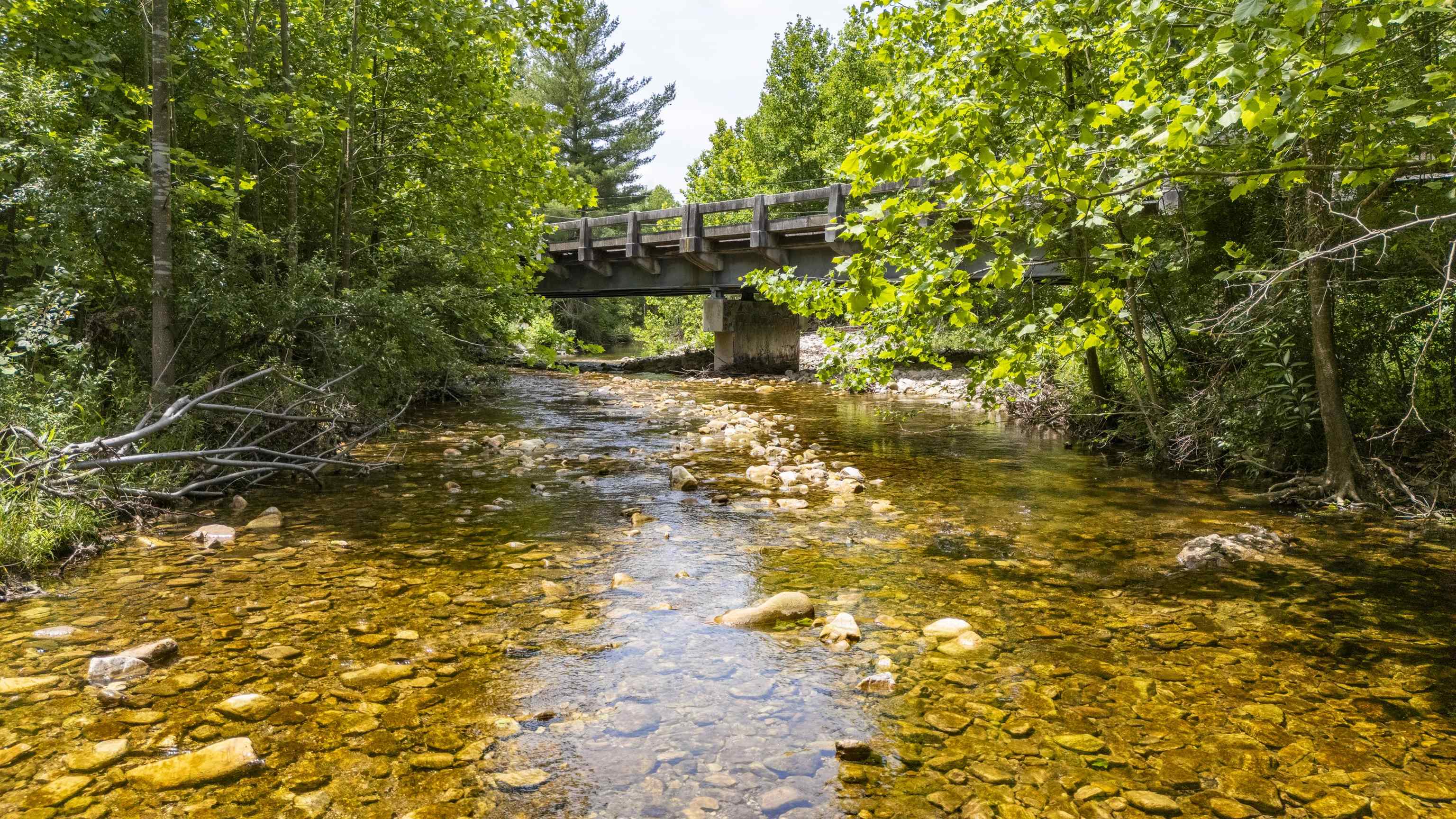 35 S BOTTOM RD, RAPHINE, Virginia 24472, 3 Bedrooms Bedrooms, ,2 BathroomsBathrooms,Residential,Rockbridge Retreat,35 S BOTTOM RD,665844 MLS # 665844