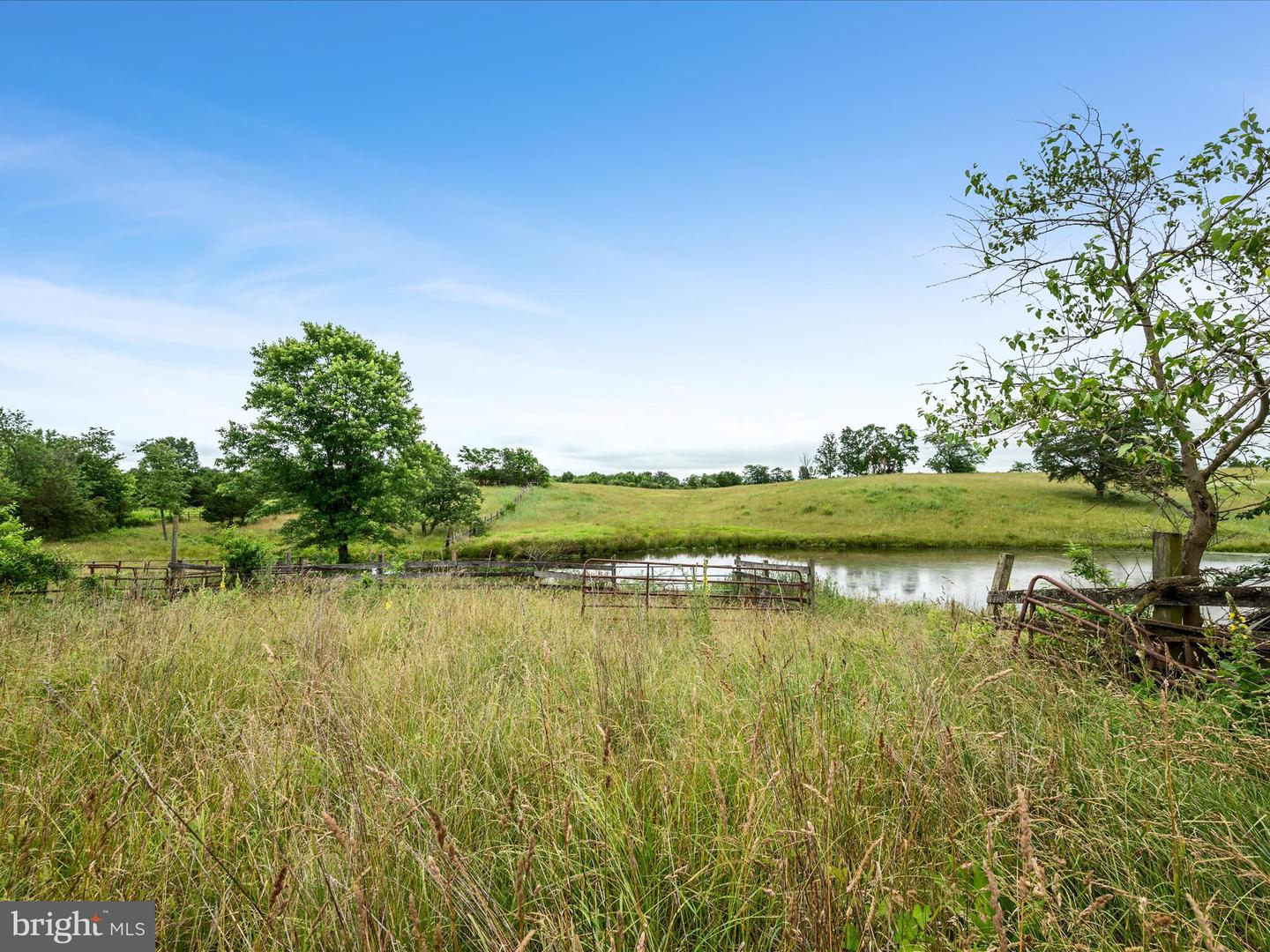1569 FRONT ROYAL PIKE, WINCHESTER, Virginia 22602, ,Land,For sale,1569 FRONT ROYAL PIKE,VAFV2034932 MLS # VAFV2034932