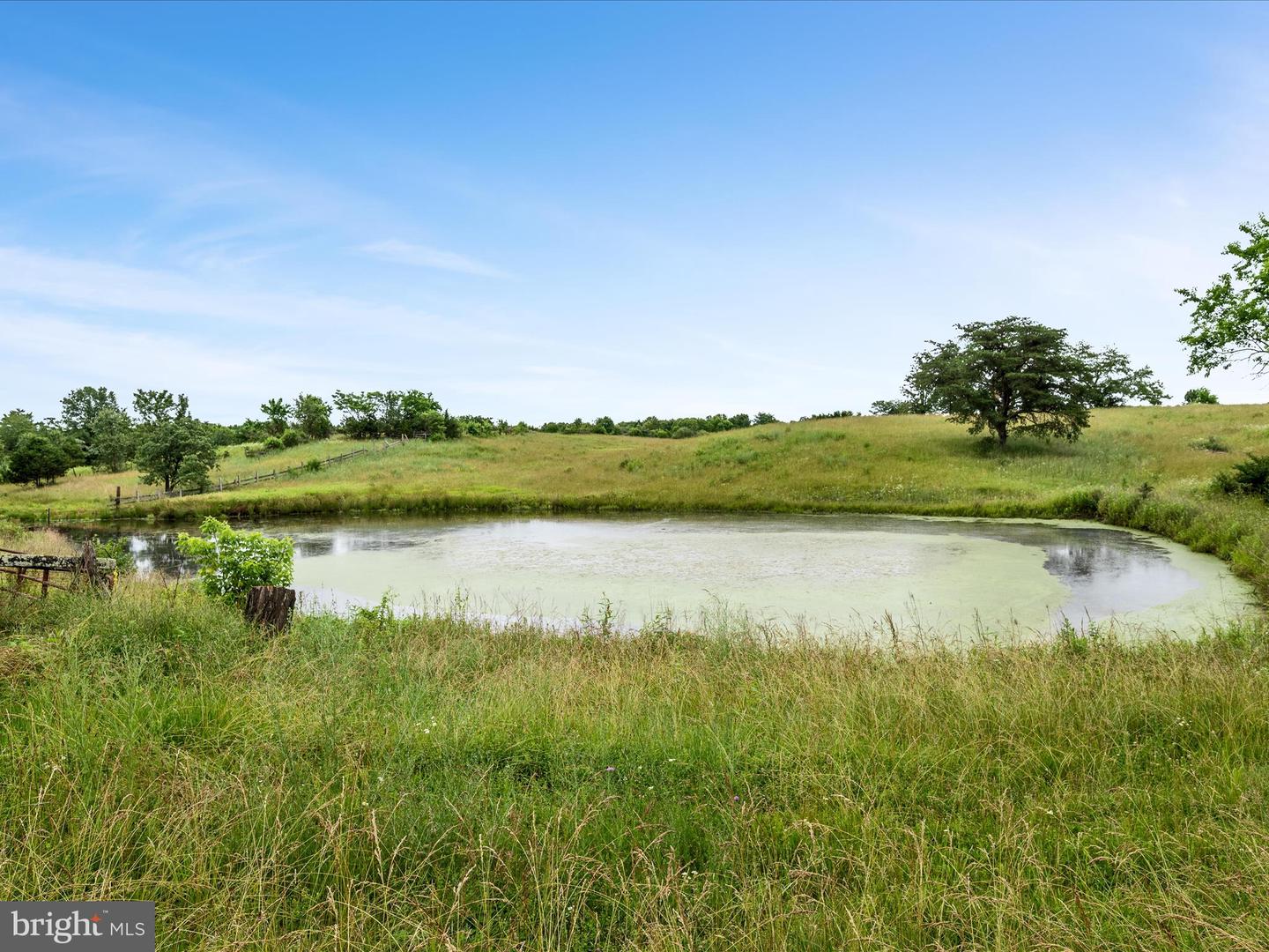 1569 FRONT ROYAL PIKE, WINCHESTER, Virginia 22602, ,Land,For sale,1569 FRONT ROYAL PIKE,VAFV2034932 MLS # VAFV2034932