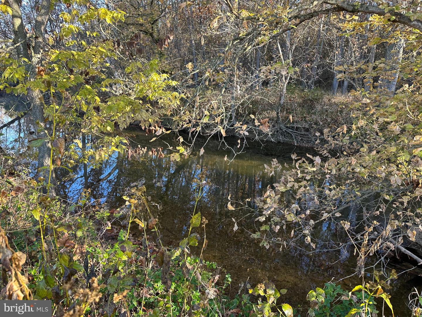 2 LOTS 98 ACRES SMITH CREEK RD, NEW MARKET, Virginia 22844, ,Farm,For sale,2 LOTS 98 ACRES SMITH CREEK RD,VASH2011736 MLS # VASH2011736