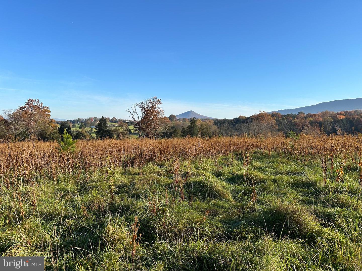 2 LOTS 98 ACRES SMITH CREEK RD, NEW MARKET, Virginia 22844, ,Farm,For sale,2 LOTS 98 ACRES SMITH CREEK RD,VASH2011736 MLS # VASH2011736