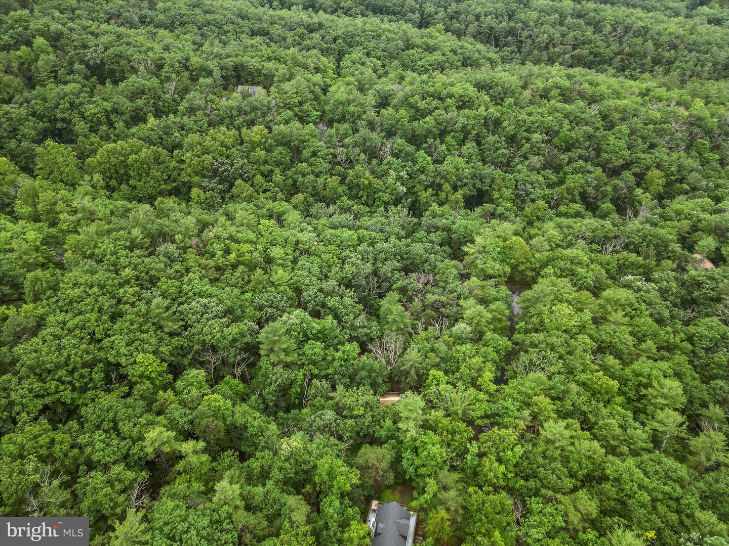 VALLEY VIEW ROAD, BASYE, Virginia 22810, ,Land,For sale,VALLEY VIEW ROAD,VASH2011744 MLS # VASH2011744