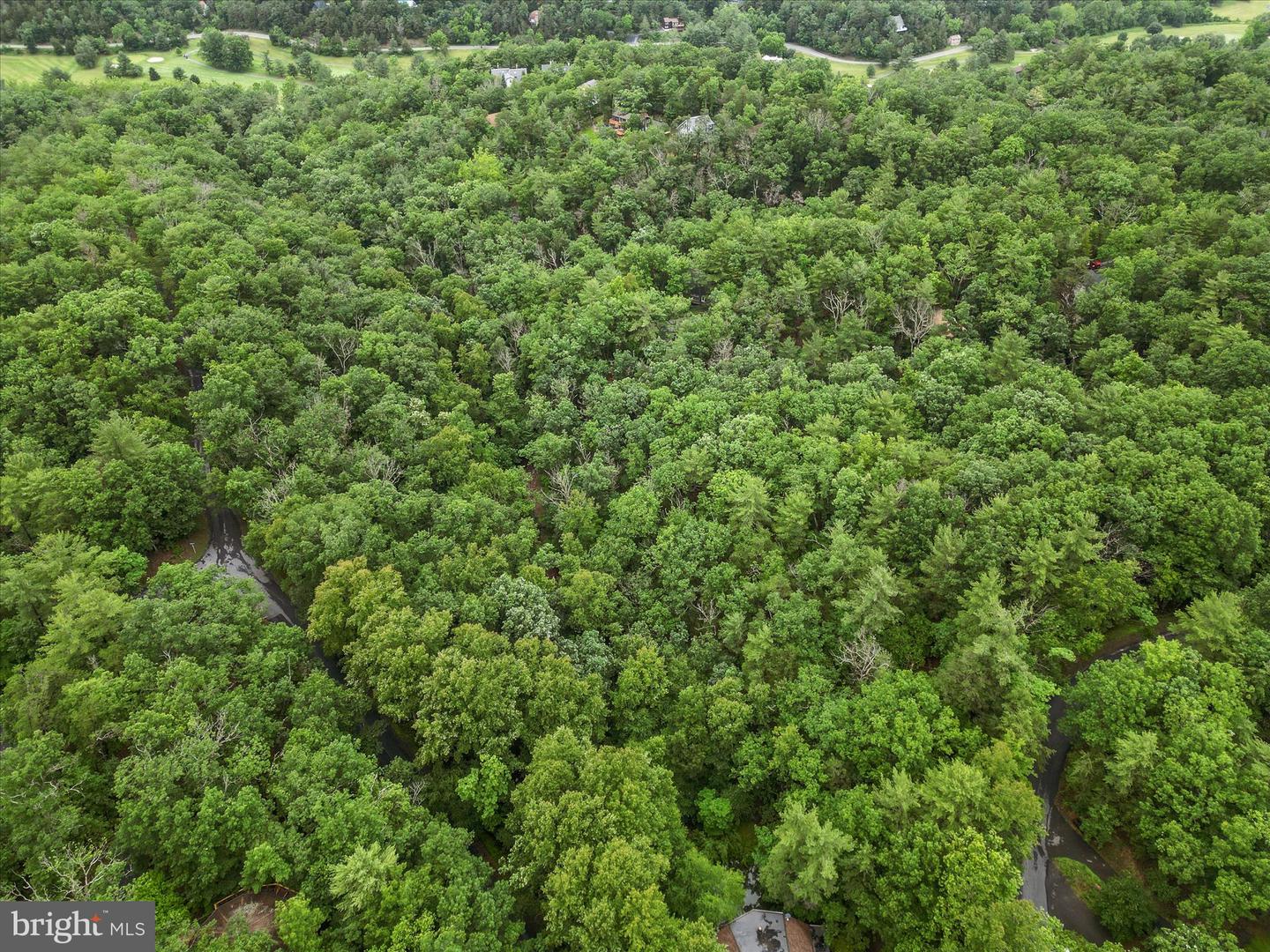 VALLEY VIEW ROAD, BASYE, Virginia 22810, ,Land,For sale,VALLEY VIEW ROAD,VASH2011744 MLS # VASH2011744