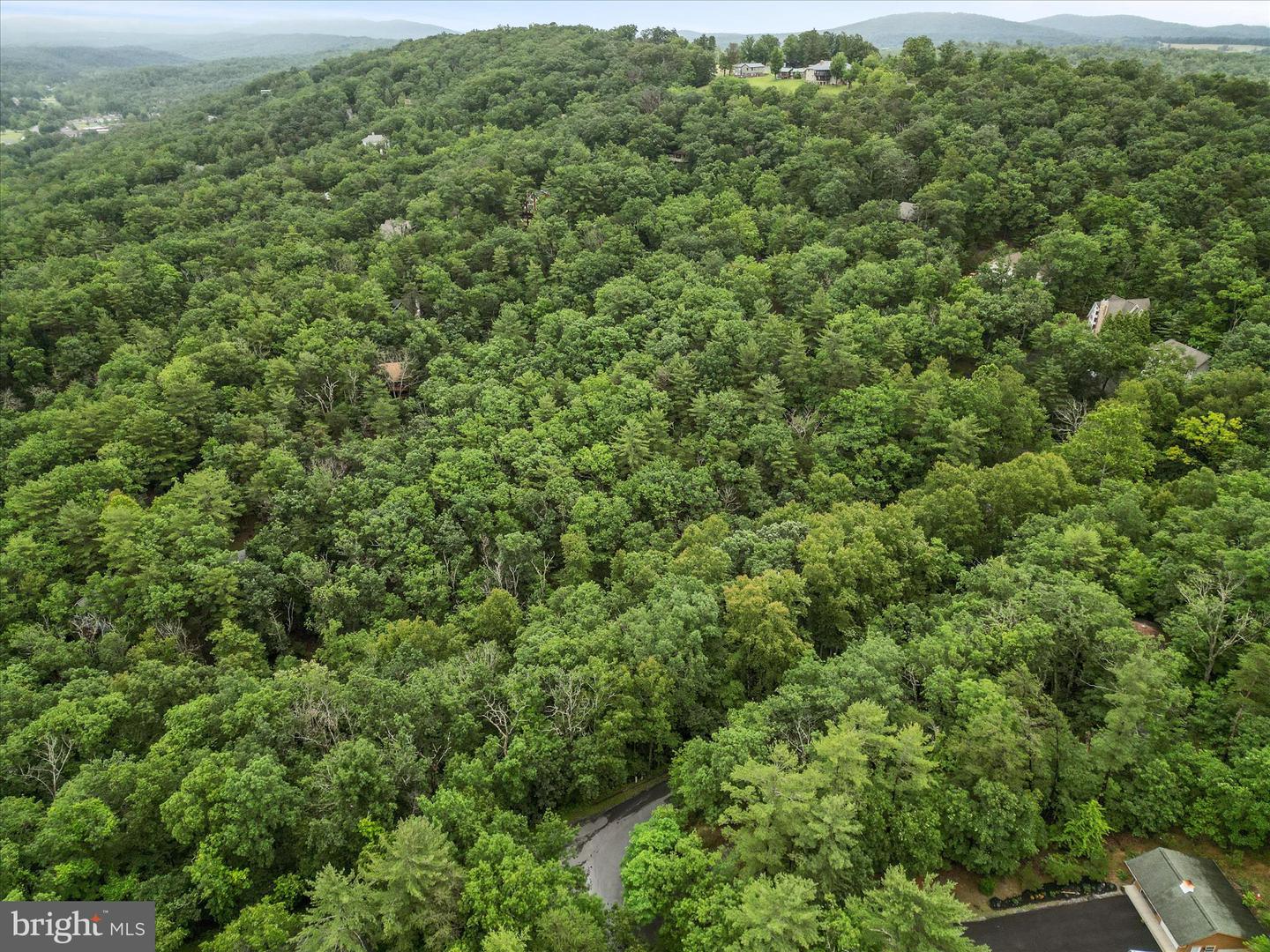 VALLEY VIEW ROAD, BASYE, Virginia 22810, ,Land,For sale,VALLEY VIEW ROAD,VASH2011744 MLS # VASH2011744