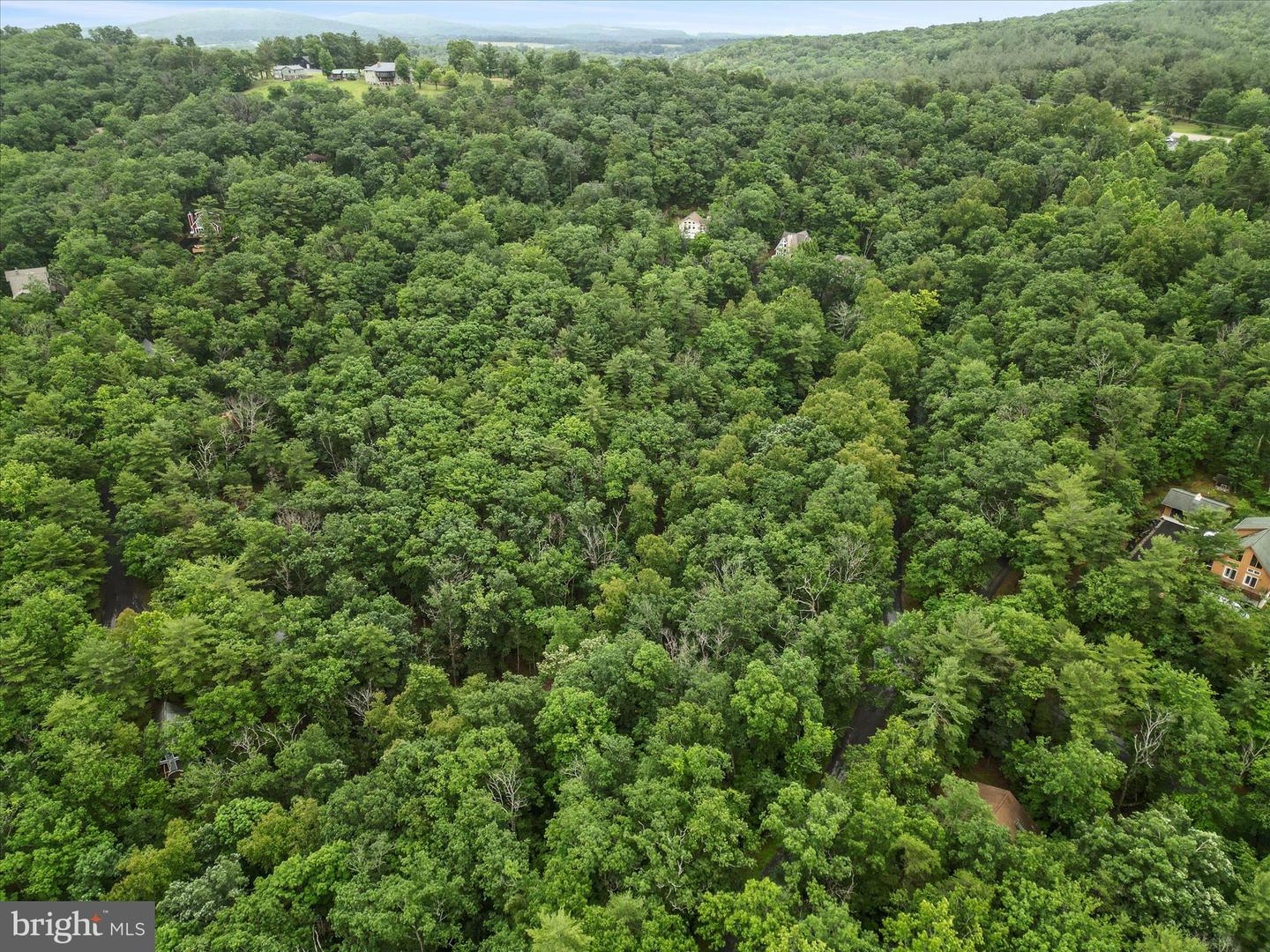 VALLEY VIEW ROAD, BASYE, Virginia 22810, ,Land,For sale,VALLEY VIEW ROAD,VASH2011744 MLS # VASH2011744