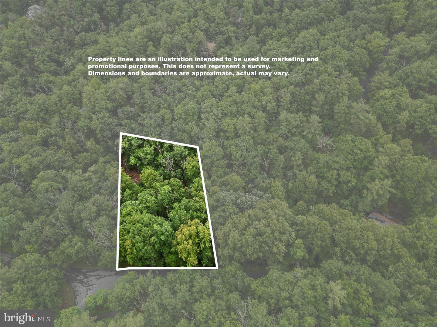 VALLEY VIEW ROAD, BASYE, Virginia 22810, ,Land,For sale,VALLEY VIEW ROAD,VASH2011744 MLS # VASH2011744