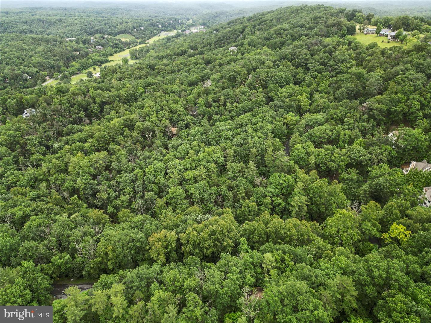 VALLEY VIEW ROAD, BASYE, Virginia 22810, ,Land,For sale,VALLEY VIEW ROAD,VASH2011744 MLS # VASH2011744