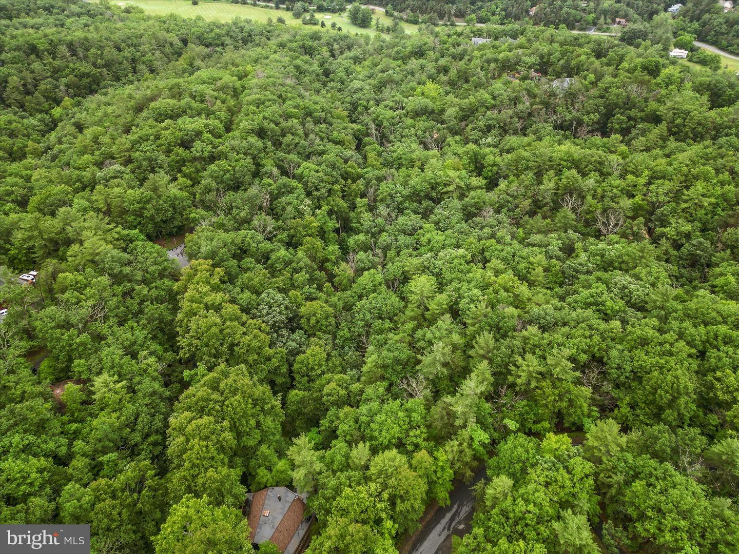 VALLEY VIEW ROAD, BASYE, Virginia 22810, ,Land,For sale,VALLEY VIEW ROAD,VASH2011744 MLS # VASH2011744