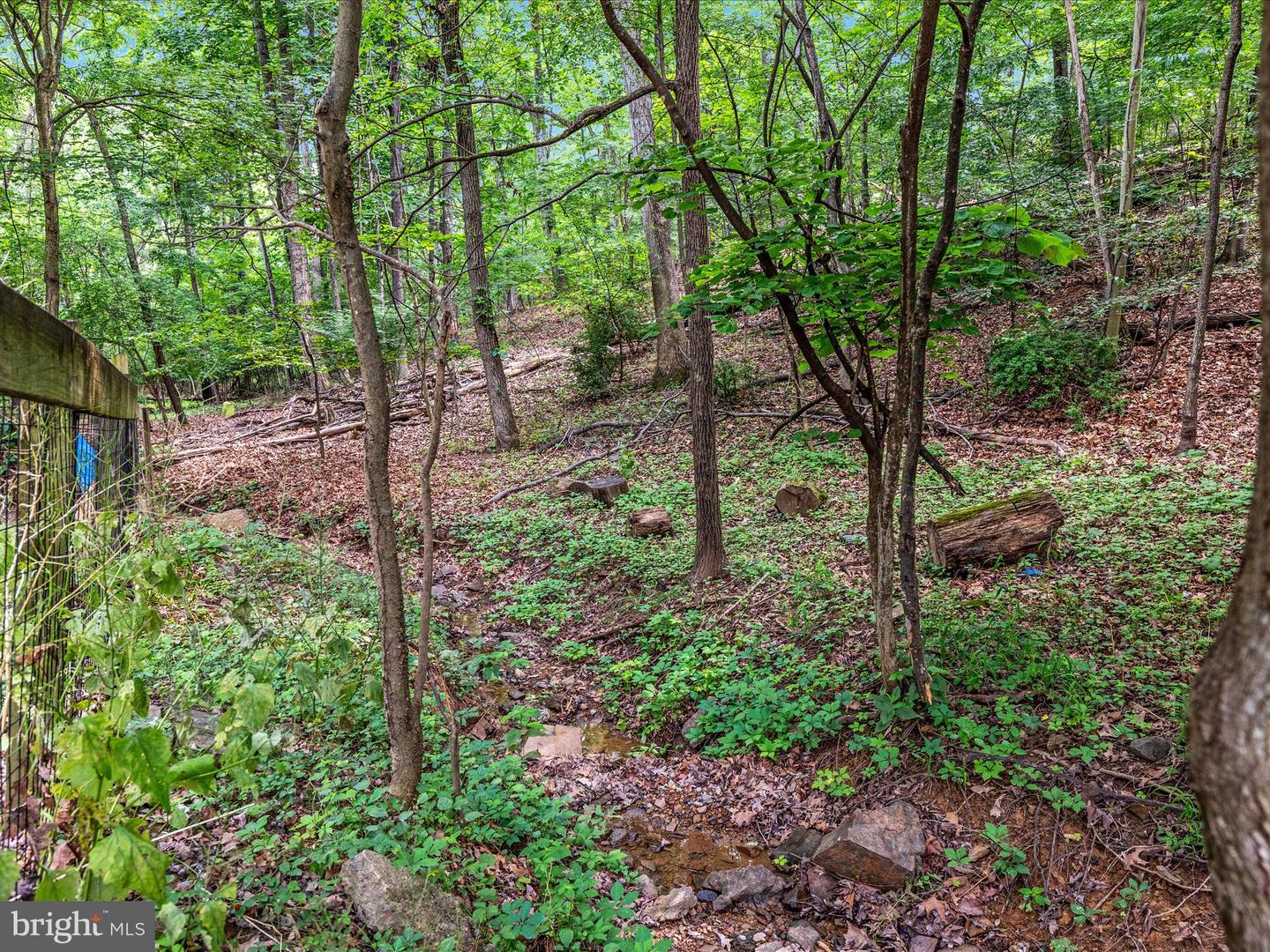 237 LAKEVIEW DR, CROSS JUNCTION, Virginia 22625, 3 Bedrooms Bedrooms, ,2 BathroomsBathrooms,Residential,For sale,237 LAKEVIEW DR,VAFV2034842 MLS # VAFV2034842