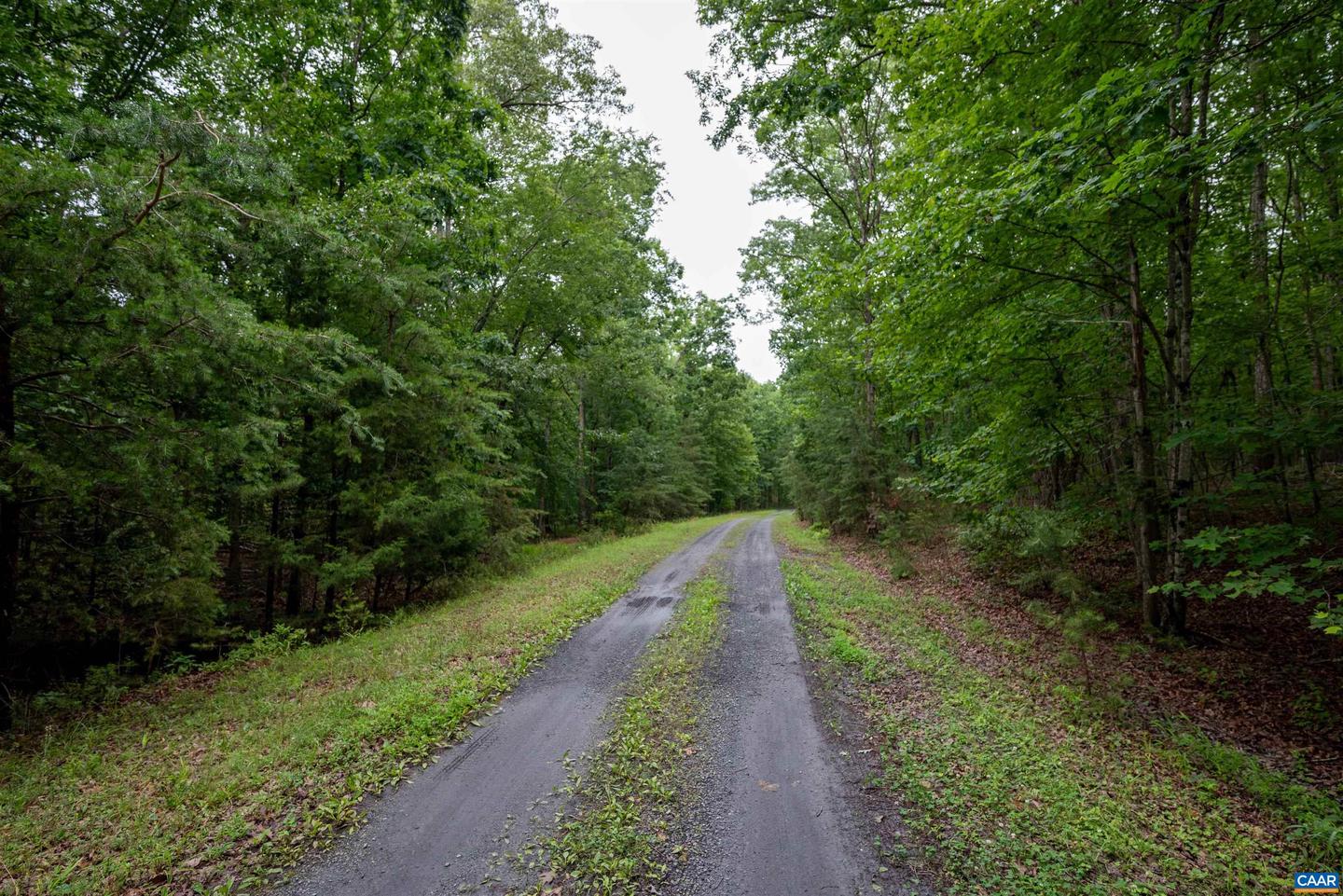 4620 THOMAS JEFFERSON PKWY, PALMYRA, Virginia 22963, 3 Bedrooms Bedrooms, ,2 BathroomsBathrooms,Residential,For sale,4620 THOMAS JEFFERSON PKWY,665874 MLS # 665874
