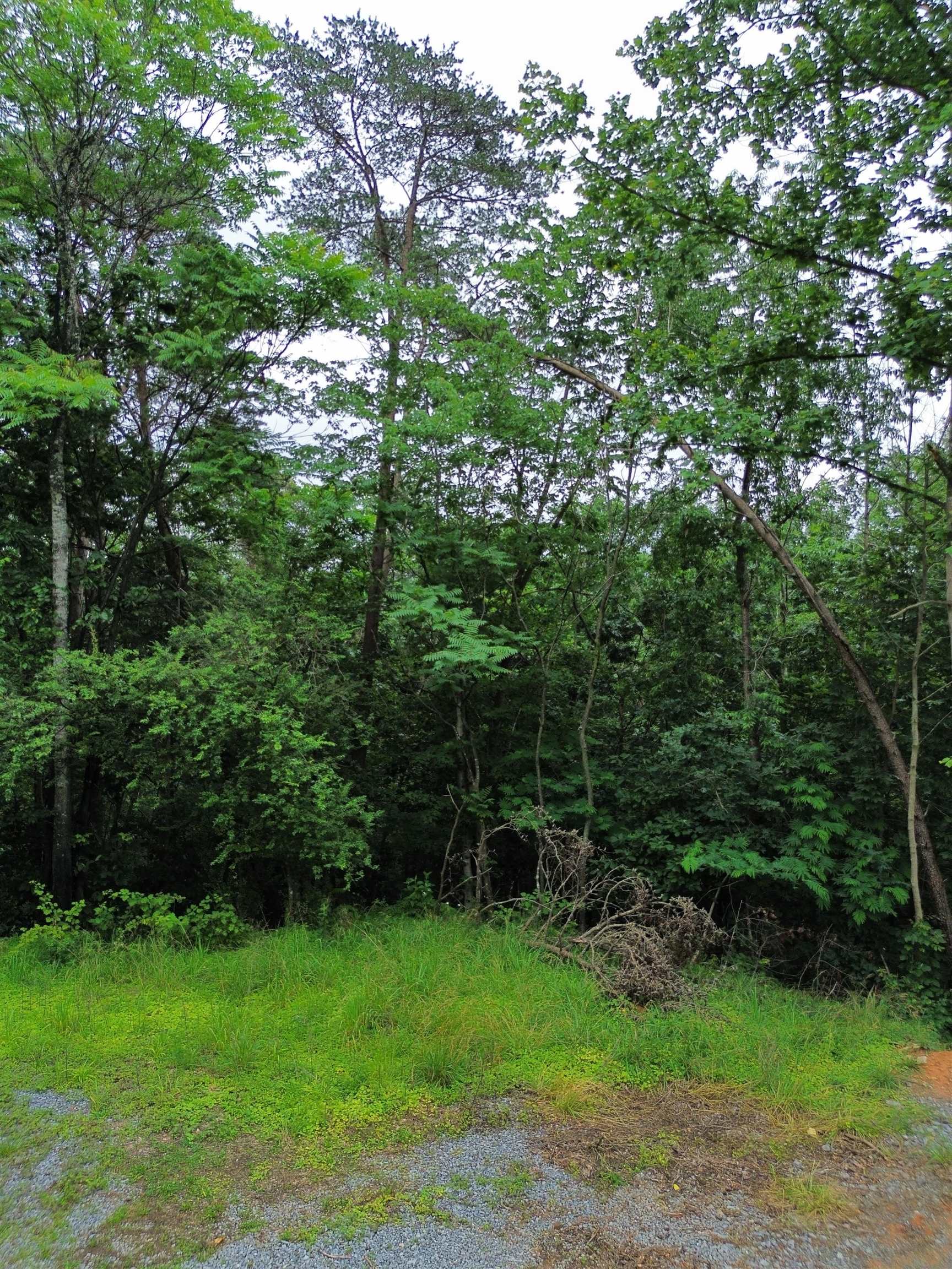LOT 9 LOOKOUT DR, SHENANDOAH, Virginia 22849, ,Land,LOT 9 LOOKOUT DR,665892 MLS # 665892