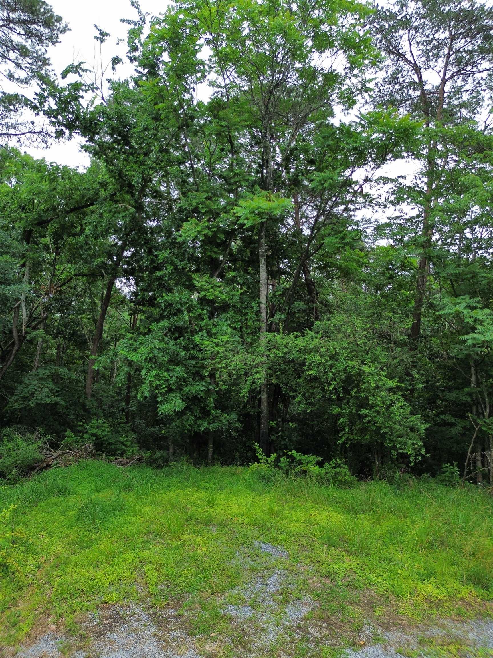 LOT 9 LOOKOUT DR, SHENANDOAH, Virginia 22849, ,Land,LOT 9 LOOKOUT DR,665892 MLS # 665892