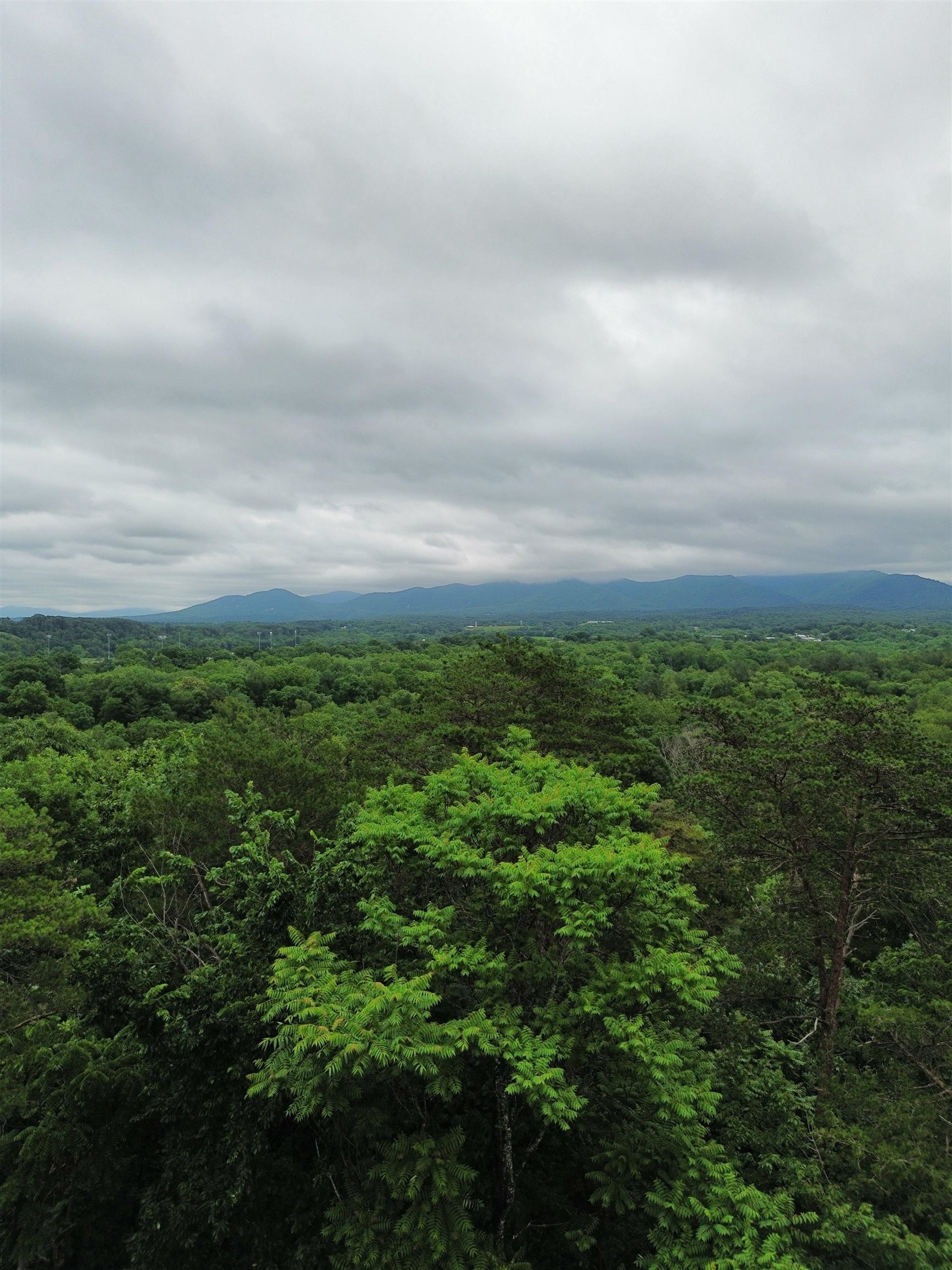 LOT 9 LOOKOUT DR, SHENANDOAH, Virginia 22849, ,Land,LOT 9 LOOKOUT DR,665892 MLS # 665892