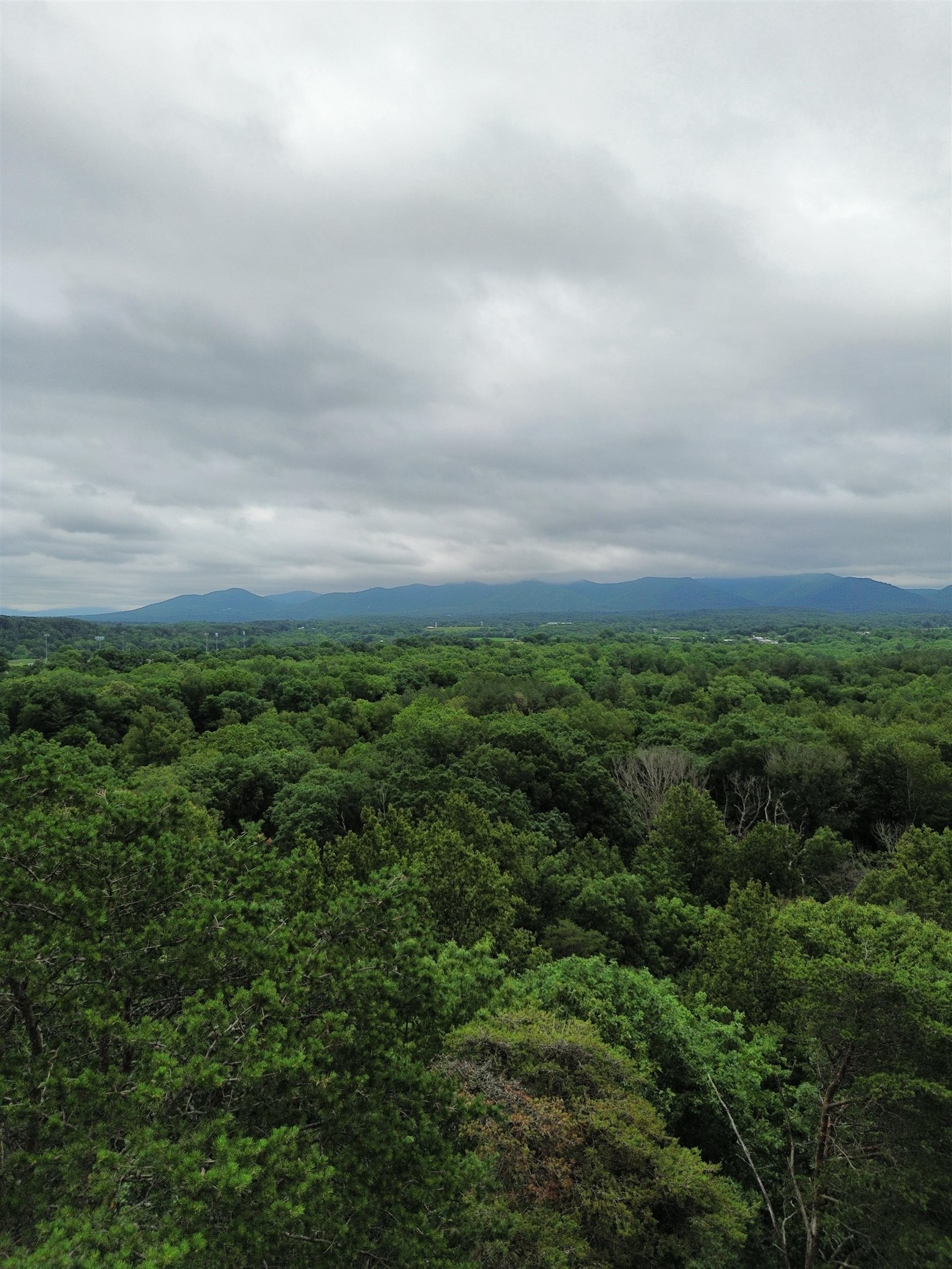 LOT 9 LOOKOUT DR, SHENANDOAH, Virginia 22849, ,Land,LOT 9 LOOKOUT DR,665892 MLS # 665892