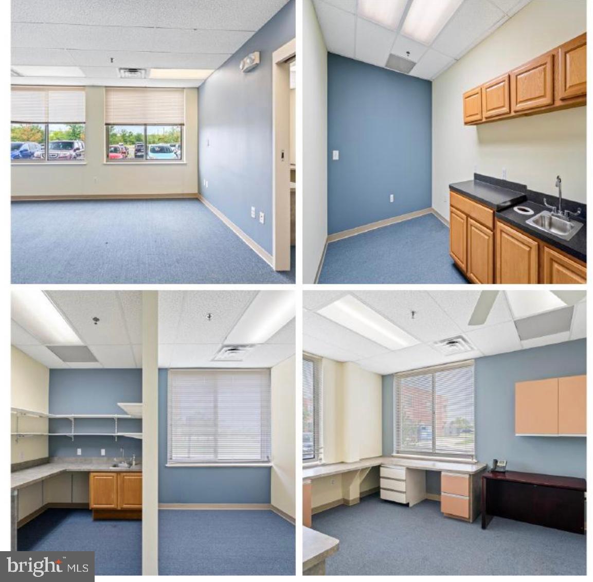 44345 PREMIER PLZ #100, ASHBURN, Virginia 20147, ,Land,For sale,44345 PREMIER PLZ #100,VALO2100018 MLS # VALO2100018