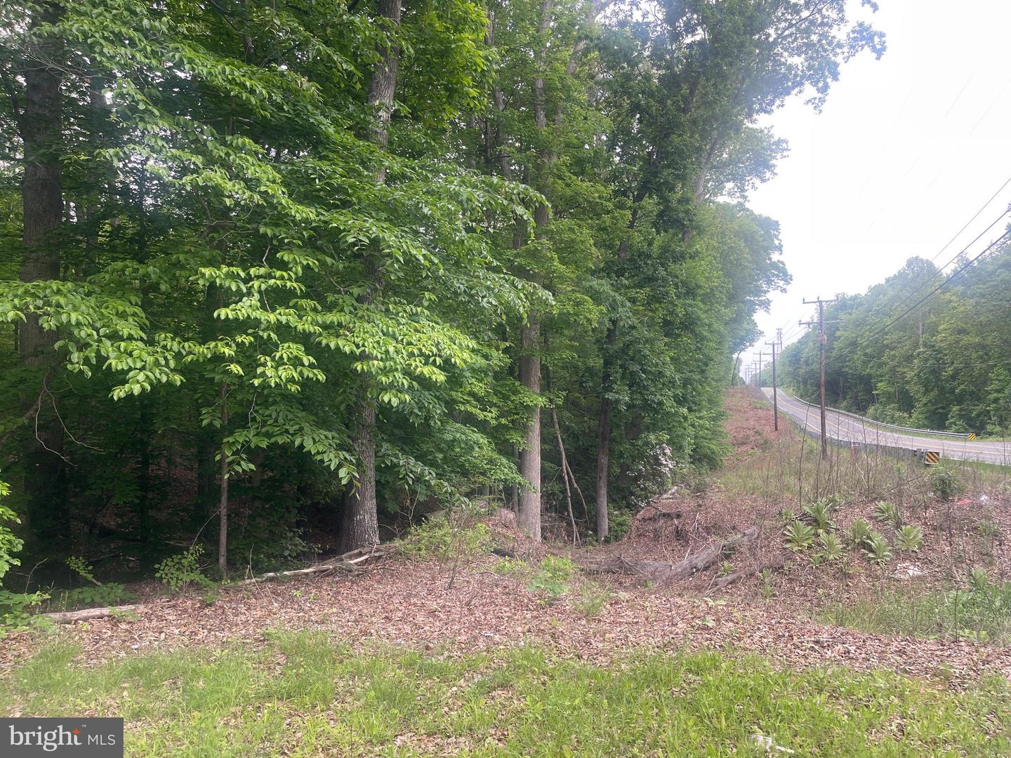 KINGS HWY, MONTROSS, Virginia 22520, ,Land,For sale,KINGS HWY,VAWE2008910 MLS # VAWE2008910