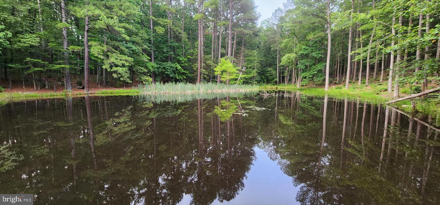 272 MOON SHADOW LN, LOUISA, Virginia 23093, ,Land,For sale,272 MOON SHADOW LN,VALA2008050 MLS # VALA2008050