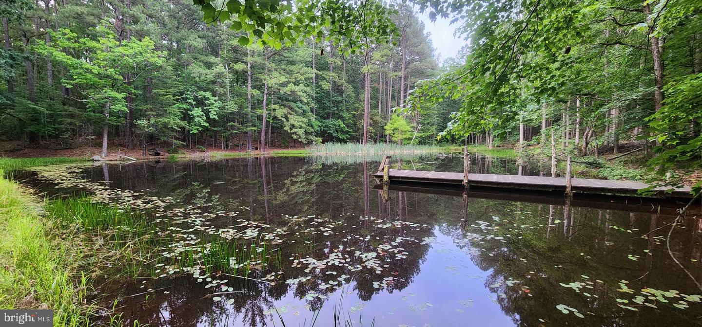 272 MOON SHADOW LN, LOUISA, Virginia 23093, ,Land,For sale,272 MOON SHADOW LN,VALA2008050 MLS # VALA2008050