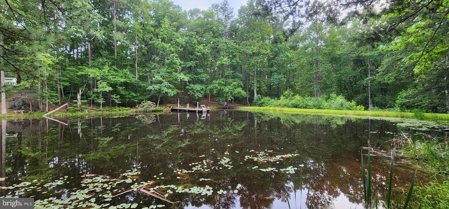 272 MOON SHADOW LN, LOUISA, Virginia 23093, ,Land,For sale,272 MOON SHADOW LN,VALA2008050 MLS # VALA2008050