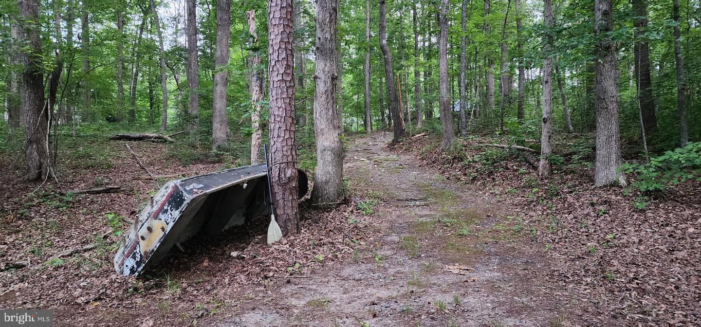 272 MOON SHADOW LN, LOUISA, Virginia 23093, ,Land,For sale,272 MOON SHADOW LN,VALA2008050 MLS # VALA2008050