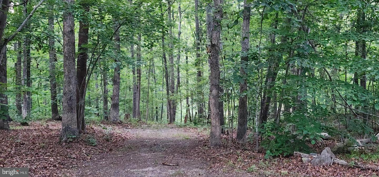 272 MOON SHADOW LN, LOUISA, Virginia 23093, ,Land,For sale,272 MOON SHADOW LN,VALA2008050 MLS # VALA2008050